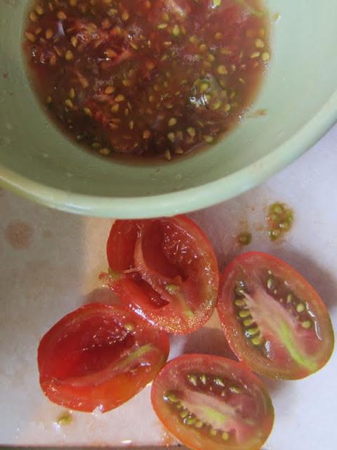 Você sabe como coletar sementes de tomate?