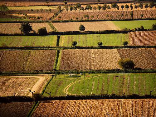 Agricultura da Itália