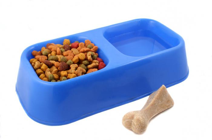 Comida premium premium e premium para cães e gatos