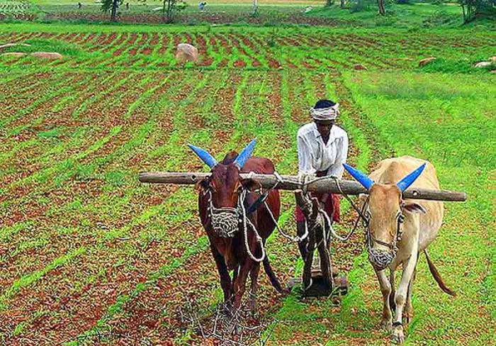 parabéns pelo dia da agricultura