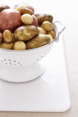 Rocco Potato: descrição do grau, foto