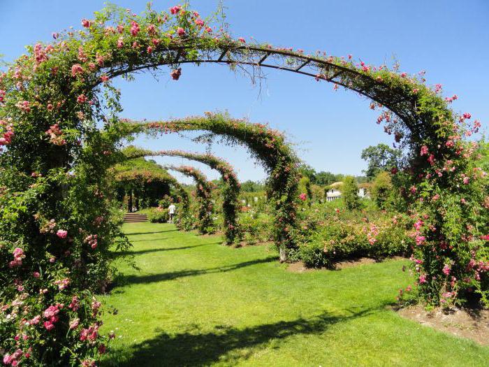 arcos forjados para flores