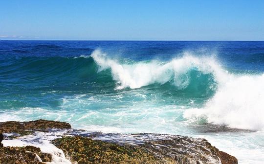 Por que os sonhos do mar puro