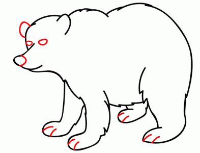 Como desenhar um urso: instruções passo a passo