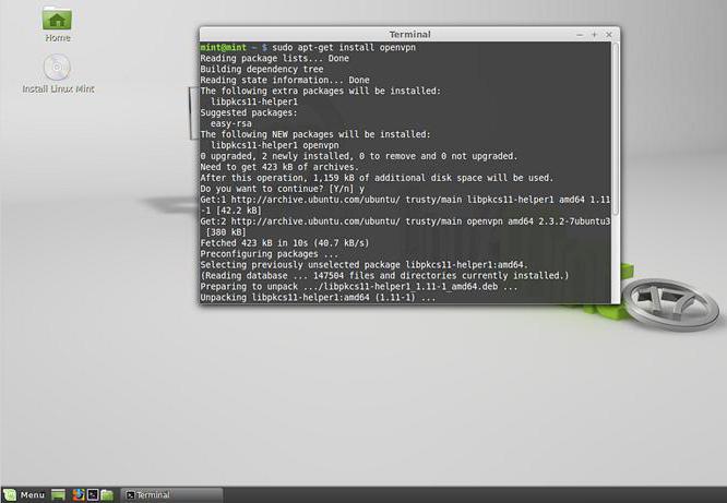 Linux Mint como instalar: instruções passo a passo, características e comentários