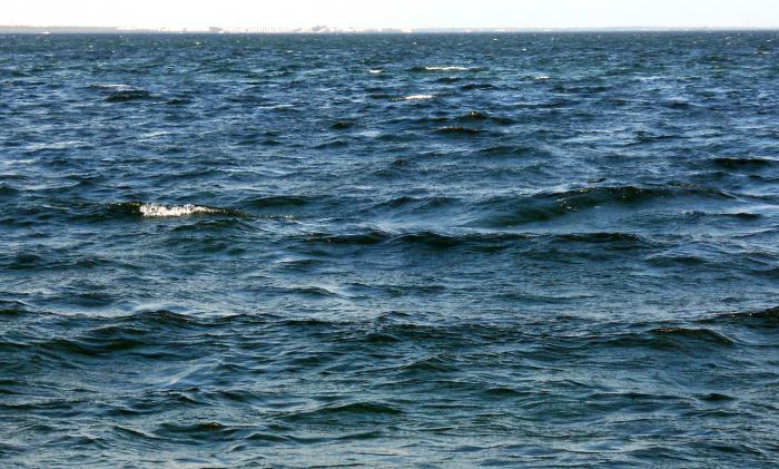 Qual é a calma na escala de Beaufort? Como identificar as pontuações da tempestade?