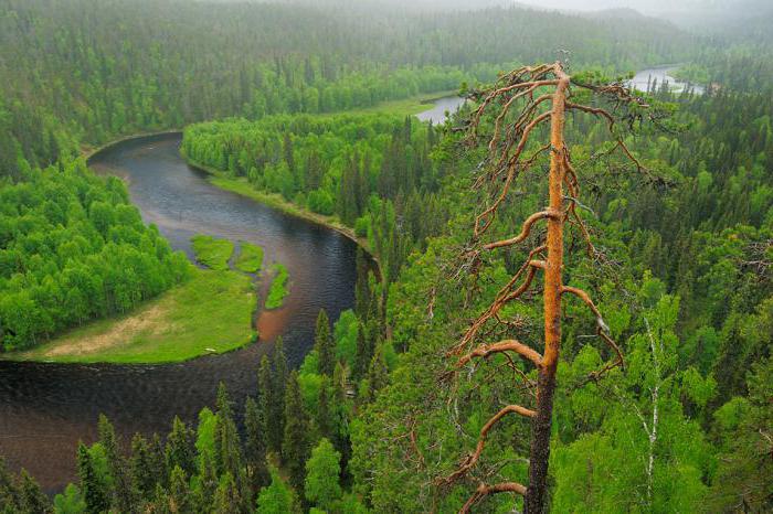 características climáticas