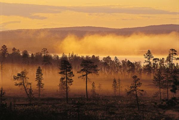 zapovednik