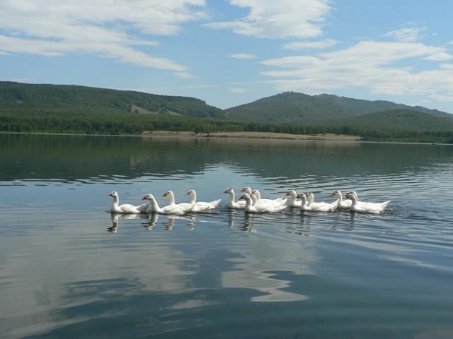 Lago Uzunkul: descrição, onde está localizado, foto