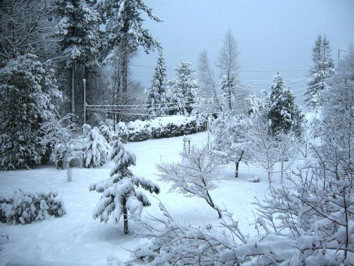 Provérbios sobre inverno, provérbios sobre inverno para escolares