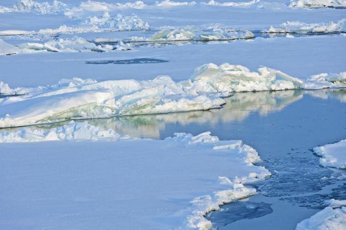 Que continentes são lavados pelo Oceano Ártico