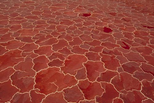 lago natron em tanzânia