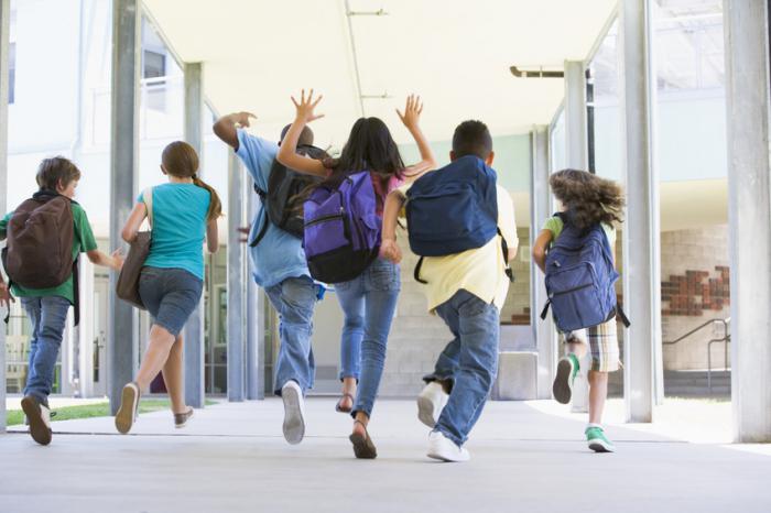 Características psicológicas e pedagógicas da classe. Recomendações gerais e compilação de amostras