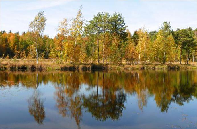 lago preto zelenograd