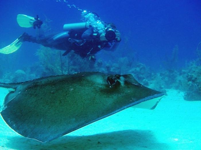 A República Dominicana. Comentários de turistas indicam um alto nível de serviço