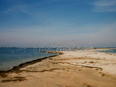 Vistas de Berdyansk - o mar, o ar ea água?