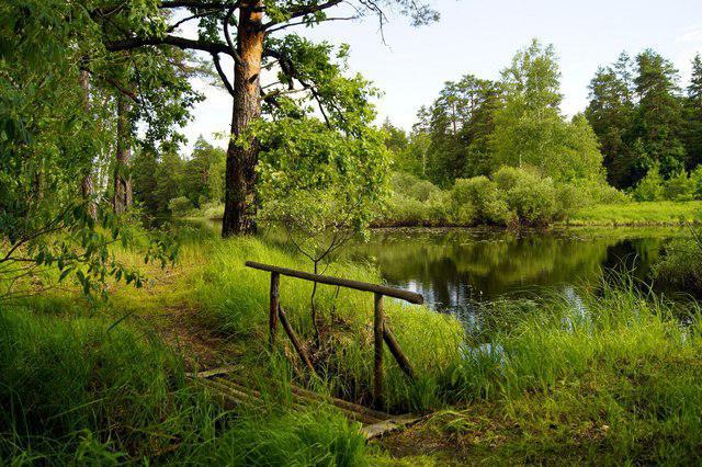 Férias com tendas Região de Ryazan