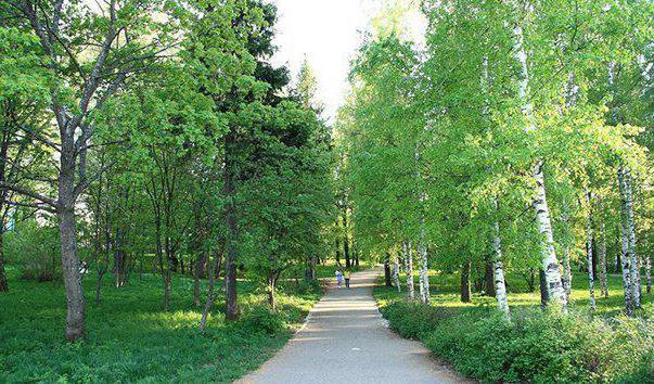 Kirov Alexandrovsky garden