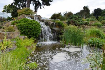 Royal Botanic Gardens de Kew em Londres 