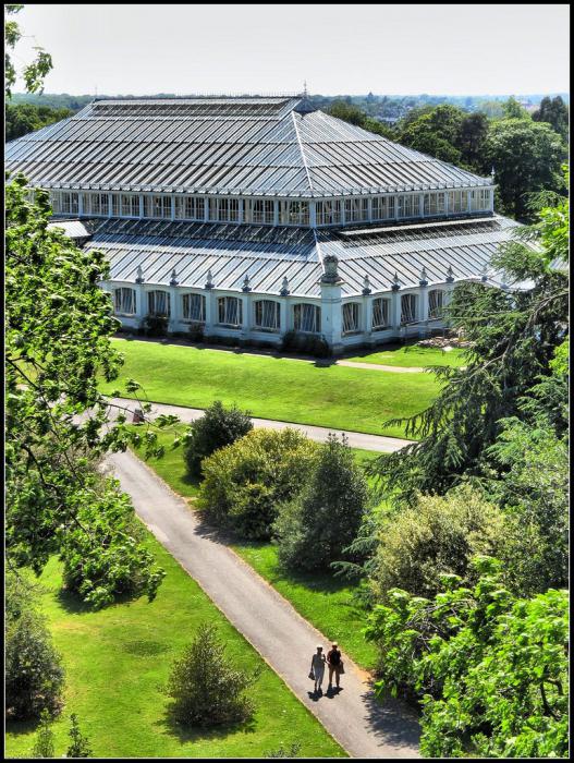 jardins botânicos reais em kewa suburb of london