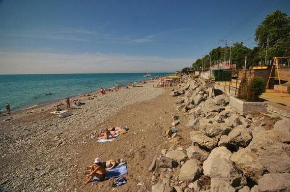 Lazarev beach dolphin avaliações