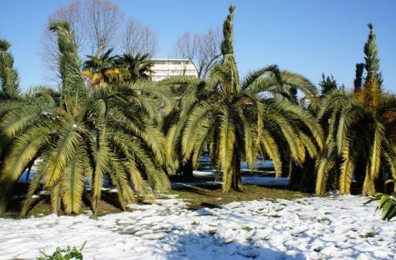 férias em preços Sochi