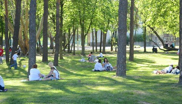 Parques de Krasnodar: os lugares mais interessantes para a recreação na cidade