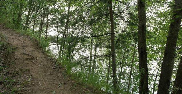 Pedreira de Shchelkovo: descrição, natureza, localização e comentários