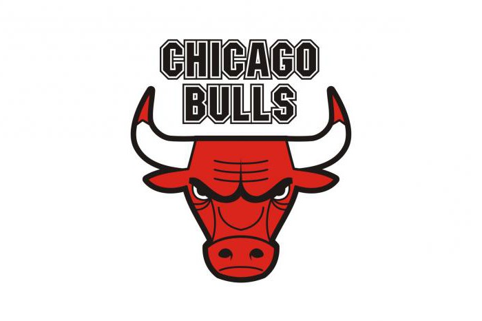 O emblema dos Chicago Bulls