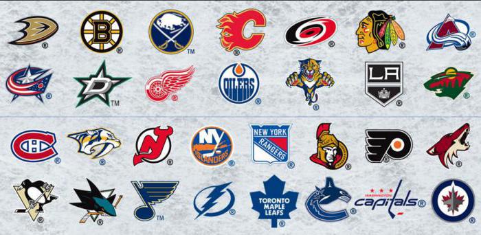 clubes nhl