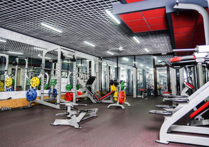 Clubes em Omsk: os melhores centros de fitness