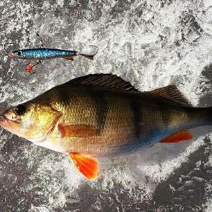 Vara de pesca no balanceador no inverno