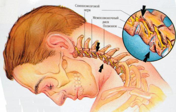 Anatomia: a estrutura do pescoço de um homem em geral