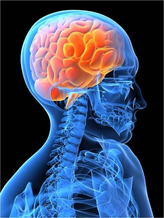 Tomografia computadorizada do custo do cérebro