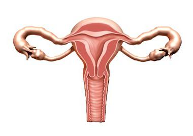 Um esfregaço em citologia que mostra? Explicação dos resultados